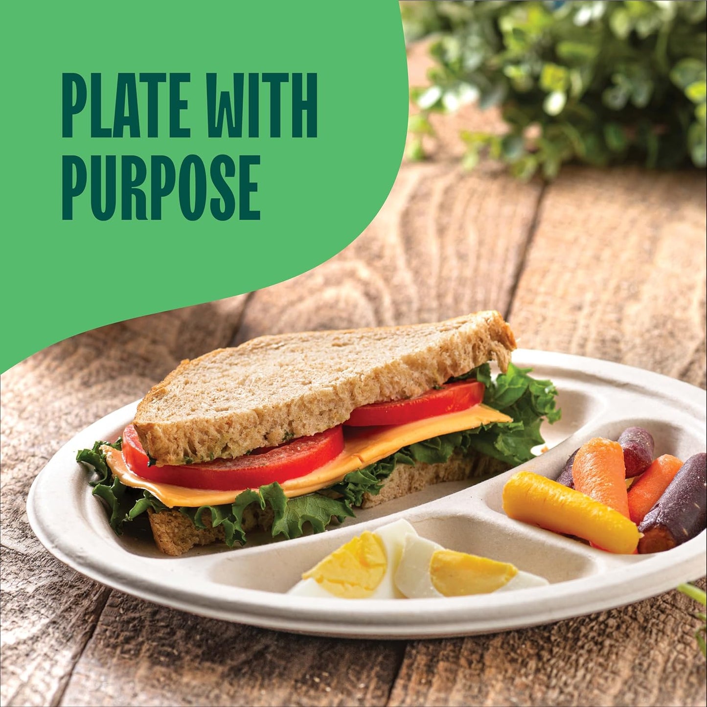 100% Compostable Paper Plates, Heavy Duty Disposable Plates [125-Pack] 9 Inch Plates - Eco-Friendly, Biodegradable Sugarcane Bagasse, Natural Unbleached Brown 9" Dinner Paper Plate Disposable