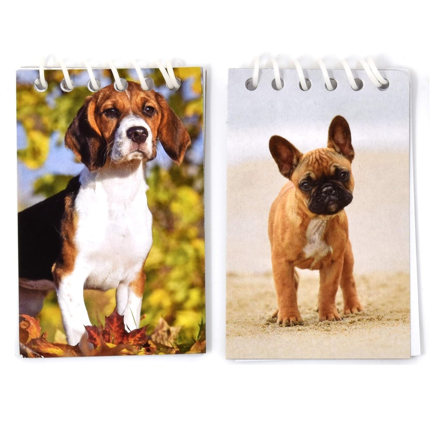 Gift Boutique 48 Pack Dog Mini Notepads Puppy Spiral Memo Books for Kids Party Favors Baby Shower Birthday Classroom Rewards School Supplies Giveaways
