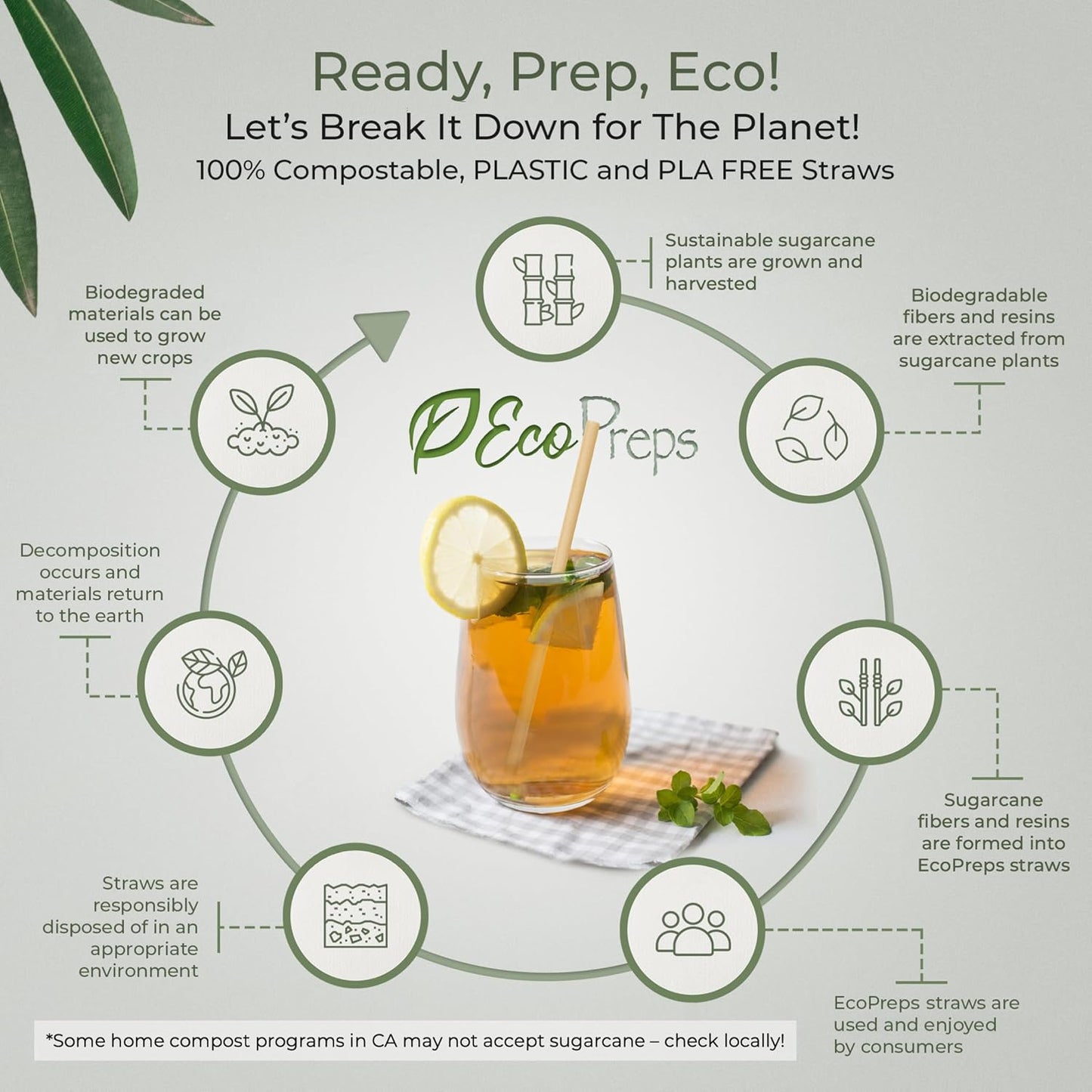 EcoPreps Biodegradable Sugarcane Straws | 150 Count, 100% Compostable, Plastic-Free, & Eco-Friendly Drinking Straw | 7.8'' Sugar Fiber Disposable Straws, Smoothie Straw for Home, Restaurant, Parties