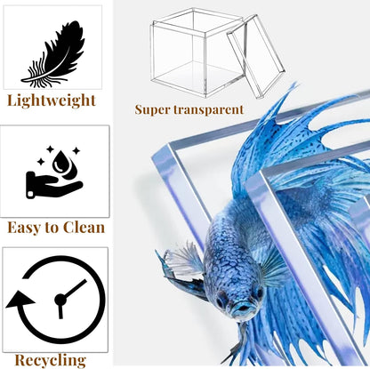 KissYou Acrylic Box Clear Boxes with Lid 12 Packs Small Candy Box Display Square Cube Wedding Graduation Party Decorations Jewlry Gift Box