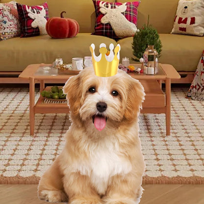 Mini Party Cone Hats for Stuffed Animals - Assorted Birthday Hats for Dolls Dogs Cats Rabbits Puppies Pet Toys