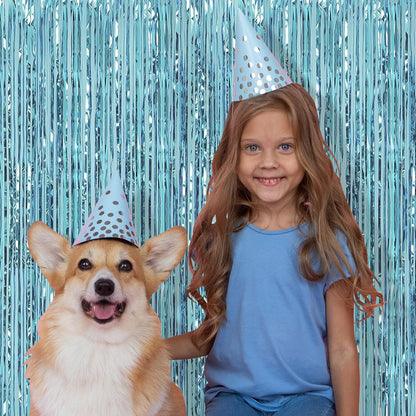 10 Pack Silver Backdrop Curtain 3.2ft x 8.2ft Metallic Tinsel Foil Fringe Curtains Photo Booth Background for Birthday Party Decoration Baby Shower Engagement Wedding Christmas Decoration (Silver)