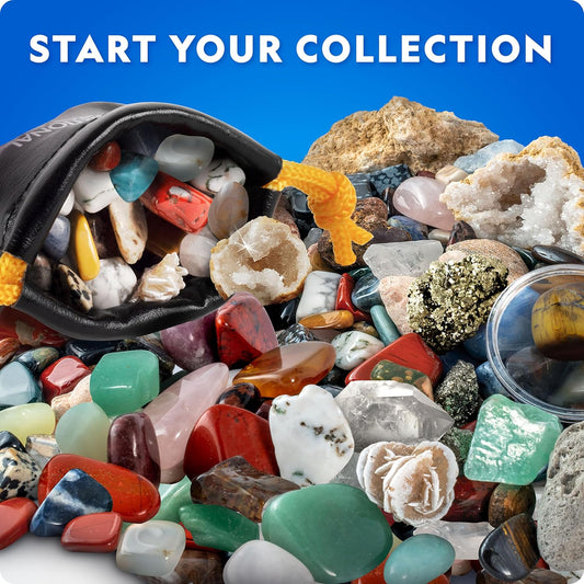 National Geographic Rock Bingo Game - Play Rock Bingo, Mineral Memory, Gemstone Trivia, & Card Games, Collection Includes Over 150 Rocks and Minerals, Educational STEM Toy for Kids (Amazon Exclusive)