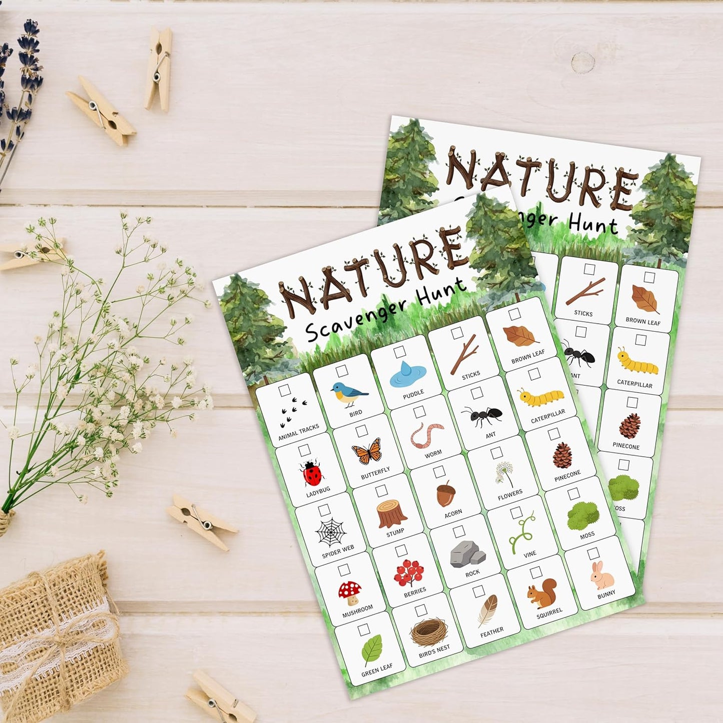 30Pcs Nature Scavenger Hunt Cards, Scavenger Hunt Cards Road Trip and Travel Activities, Spring Summer Holiday Party Supplies, Camping Games Outdoor Indoor Seek Activity-A03