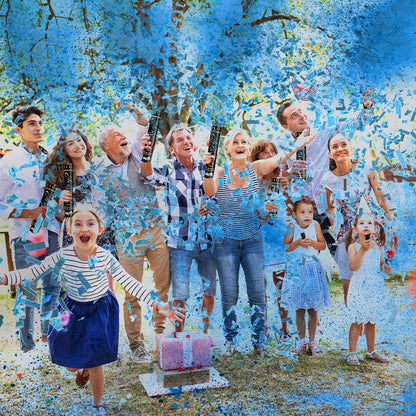 Gender Reveal Confetti Powder Cannon - Biodegradable Blue & Pink Poppers for Baby Shower Party Decorations - He or She What Will it Bee - 2 Pink Sticks