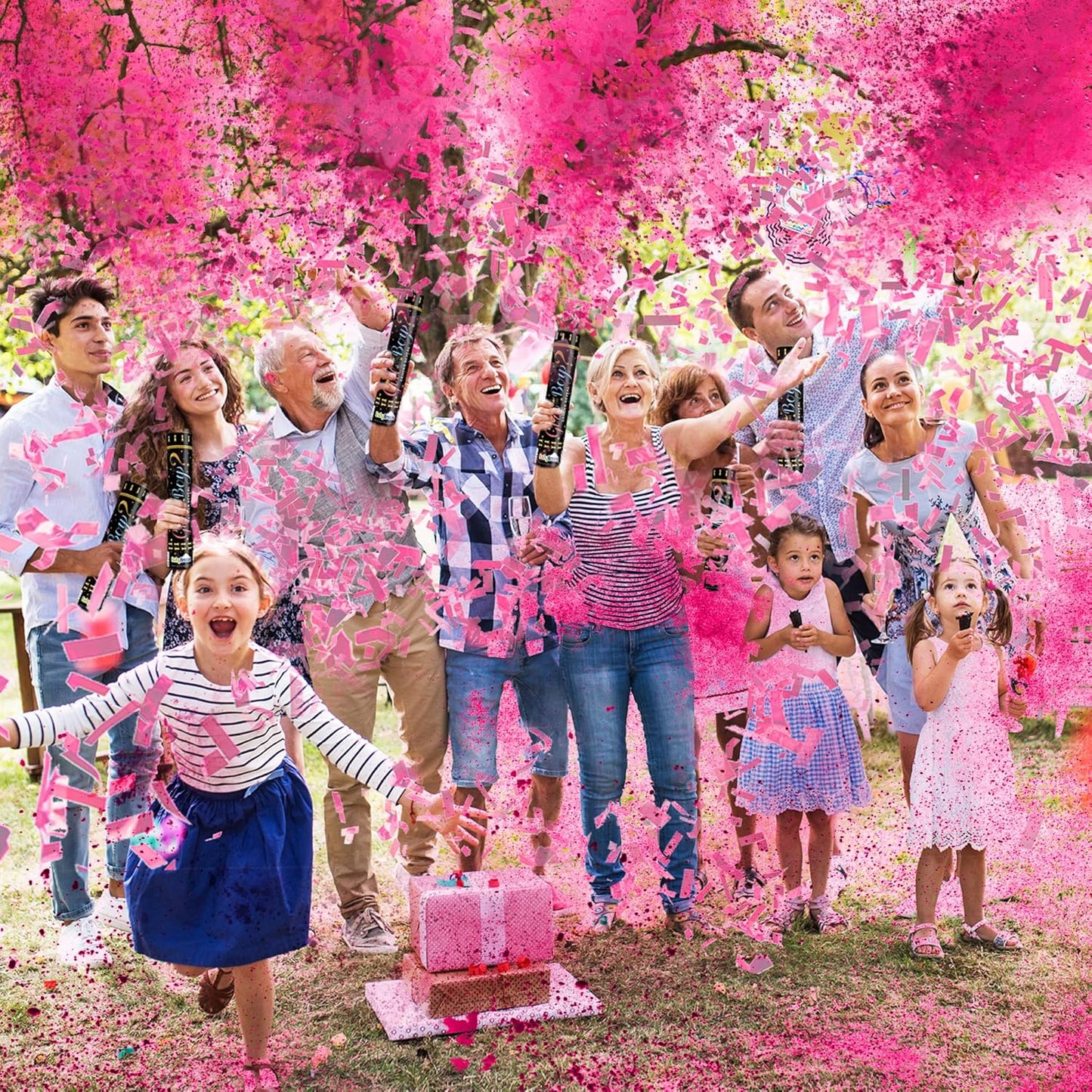 Gender Reveal Confetti Powder Cannon - Biodegradable Blue & Pink Poppers for Baby Shower Party Decorations - He or She What Will it Bee - 2 Pink Sticks