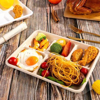 WELLIFE 100% Compostable 5 Compartment Paper Plates, 100 Pack Disposable School Lunch Trays Divided Plates for Adult Youth, 12.5 * 8.6 inch Heavy Duty Eco-Friendly Bagasse Plate for Buffet and Party