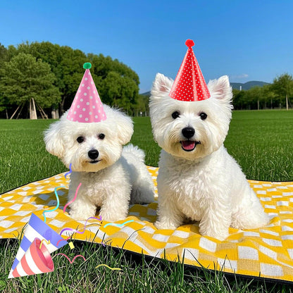 Mini Party Cone Hats for Stuffed Animals - Assorted Birthday Hats for Dolls Dogs Cats Rabbits Puppies Pet Toys