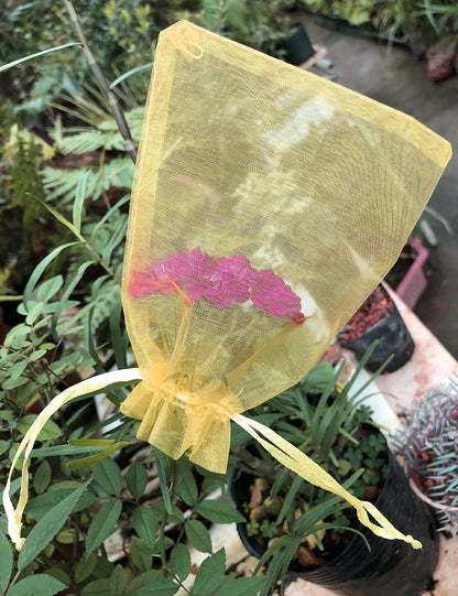 Jexila 120PCS Sheer Organza Bags 5X7 inches Mesh Drawstring Gift Bags Small for Jewelry Wedding Party Baby Shower Favor Bags (Rainbow )