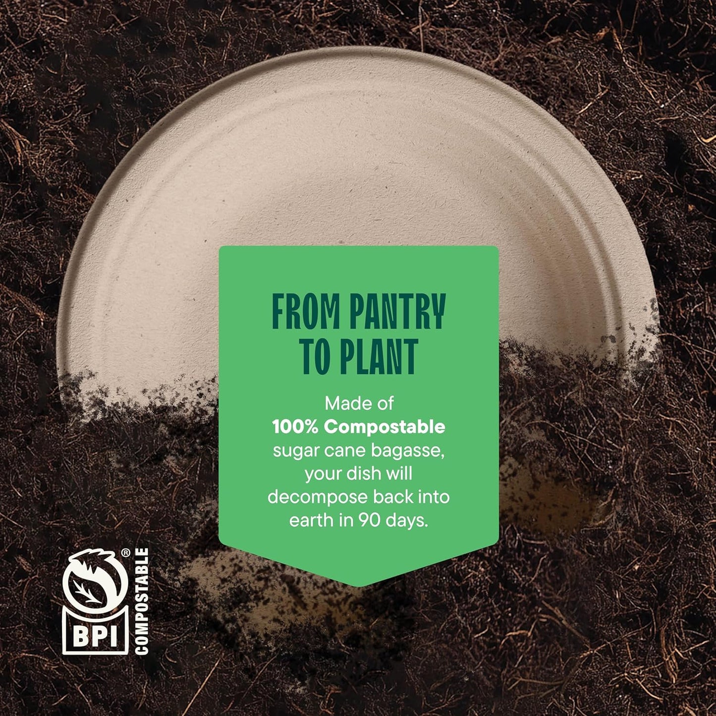 100% Compostable Paper Plates, Heavy Duty Disposable Plates [125-Pack] 9 Inch Plates - Eco-Friendly, Biodegradable Sugarcane Bagasse, Natural Unbleached Brown 9" Dinner Paper Plate Disposable